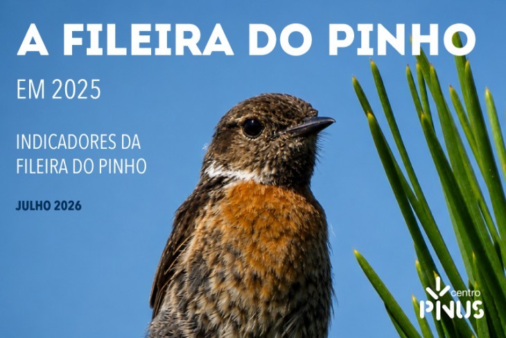 Indicadores da Fileira do Pinho em 2025